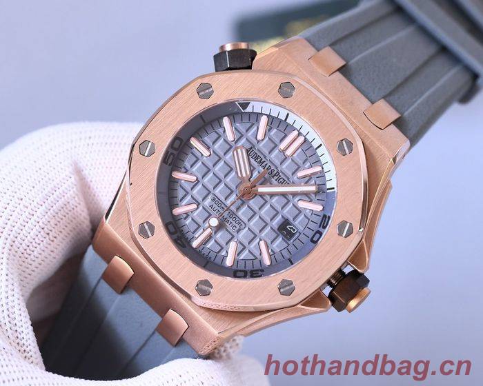 Audemars Piguet Watch APW00064-1